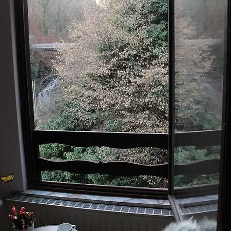 Entersburg Penzion Bad Bertrich