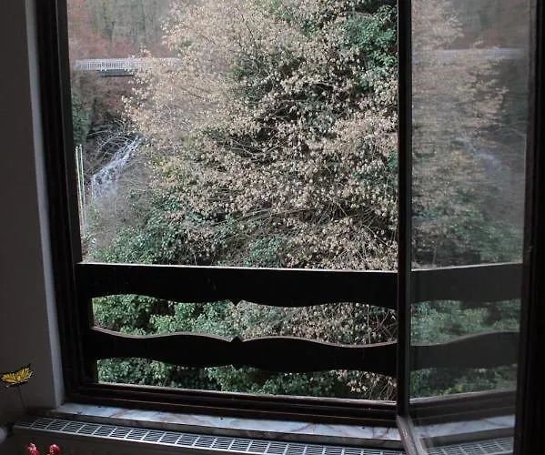 Entersburg Πανσιόν Bad Bertrich